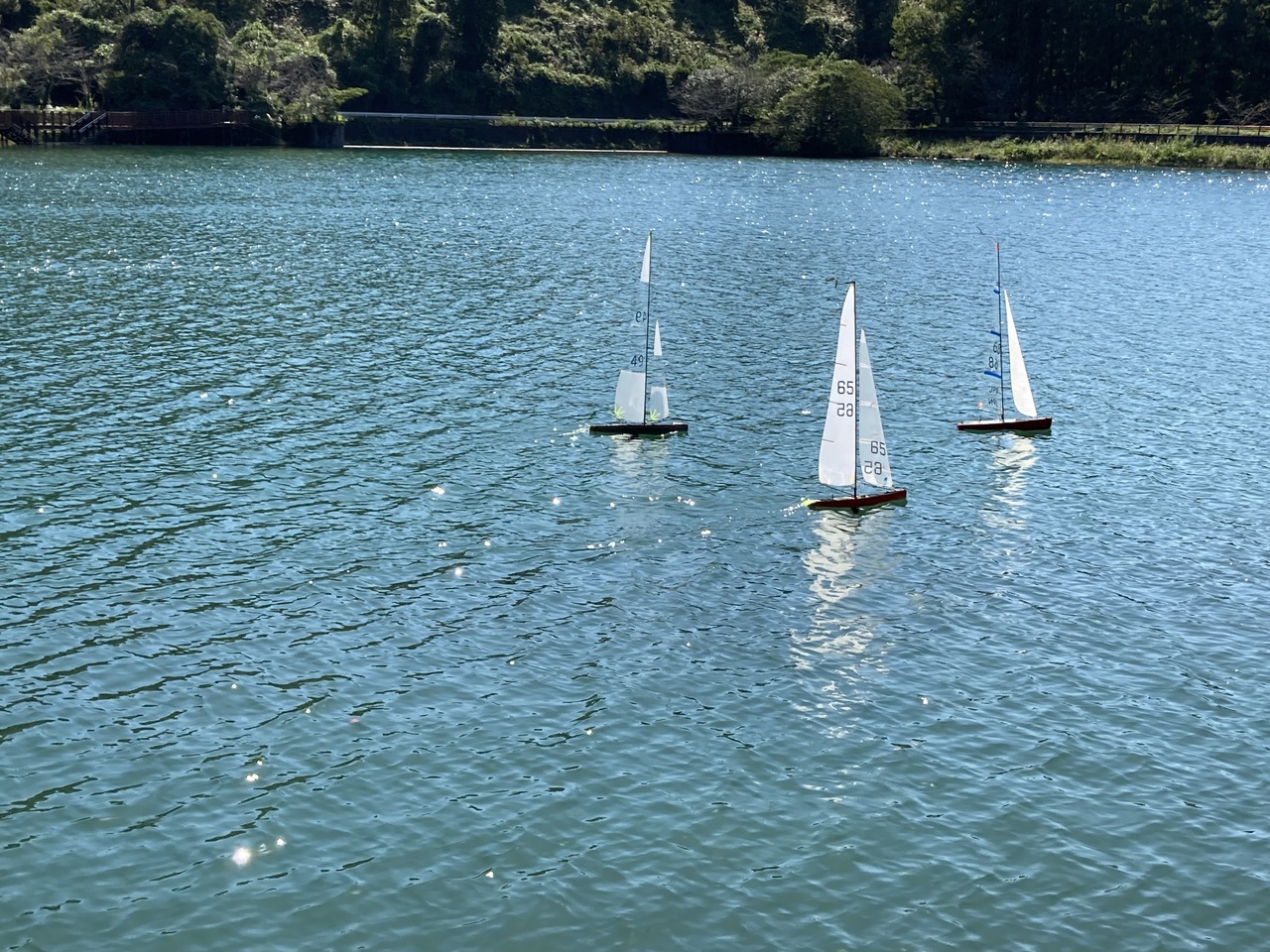 丹野池RCヨット会長杯 | 静岡県 菊川市観光協会｜深蒸し茶発祥の地
